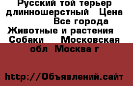 Русский той-терьер длинношерстный › Цена ­ 7 000 - Все города Животные и растения » Собаки   . Московская обл.,Москва г.